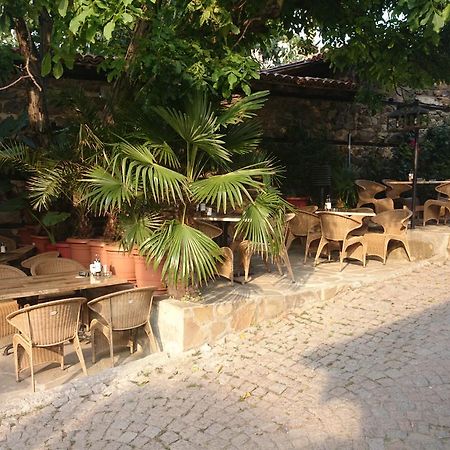 סוזופול Guest House Koral מראה חיצוני תמונה